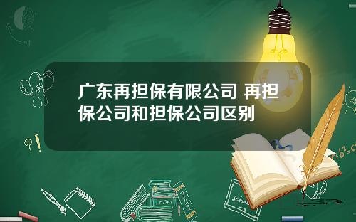广东再担保有限公司 再担保公司和担保公司区别