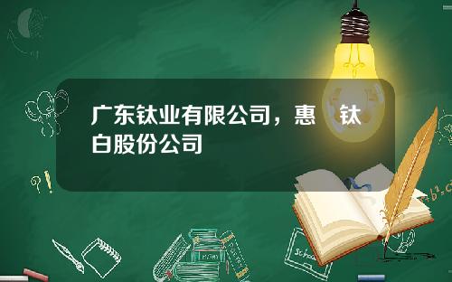 广东钛业有限公司，惠沄钛白股份公司