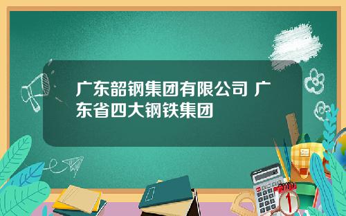 广东韶钢集团有限公司 广东省四大钢铁集团