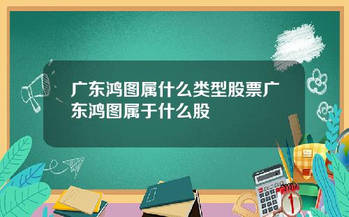 广东鸿图属什么类型股票广东鸿图属于什么股