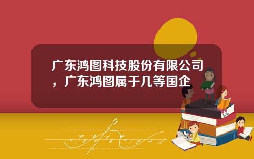 广东鸿图科技股份有限公司，广东鸿图属于几等国企