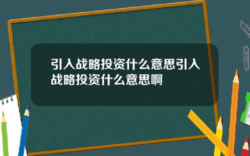 引入战略投资什么意思引入战略投资什么意思啊