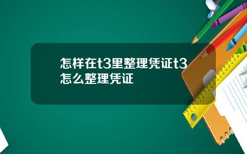 怎样在t3里整理凭证t3怎么整理凭证