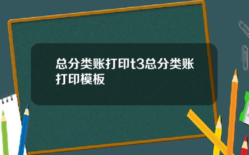 总分类账打印t3总分类账打印模板