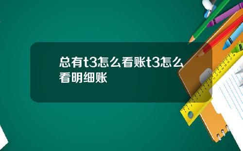 总有t3怎么看账t3怎么看明细账