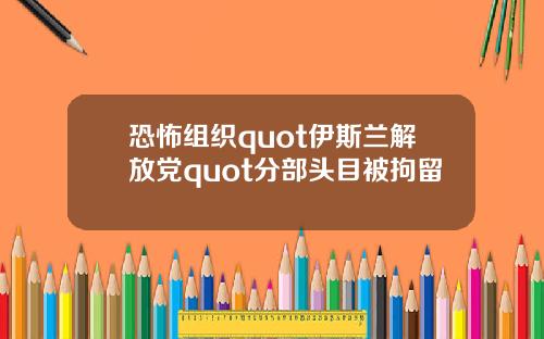 恐怖组织quot伊斯兰解放党quot分部头目被拘留