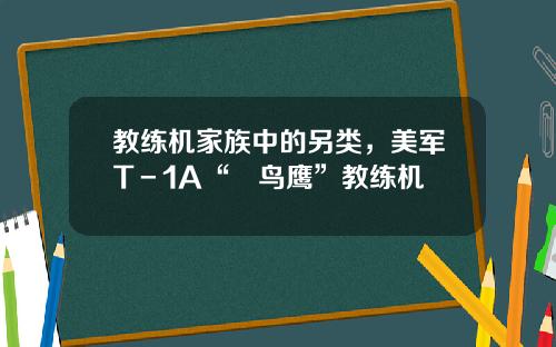 教练机家族中的另类，美军T－1A“樫鸟鹰”教练机