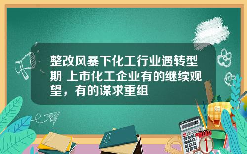 整改风暴下化工行业遇转型期 上市化工企业有的继续观望，有的谋求重组