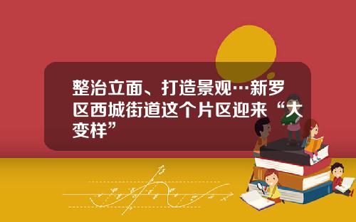 整治立面、打造景观…新罗区西城街道这个片区迎来“大变样”
