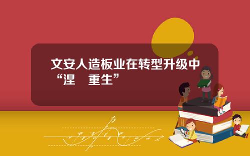 文安人造板业在转型升级中“涅槃重生”