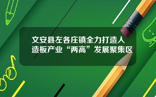 文安县左各庄镇全力打造人造板产业“两高”发展聚集区