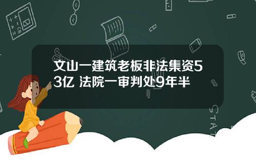 文山一建筑老板非法集资53亿 法院一审判处9年半