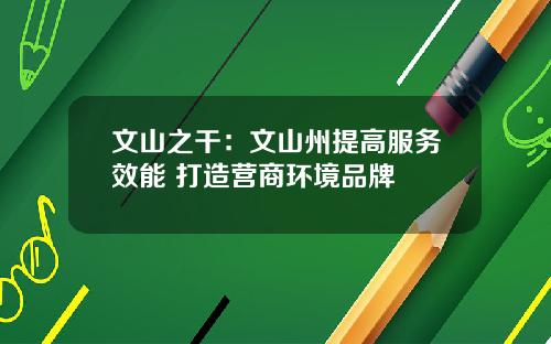 文山之干：文山州提高服务效能 打造营商环境品牌