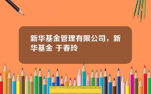 新华基金管理有限公司，新华基金 于春玲