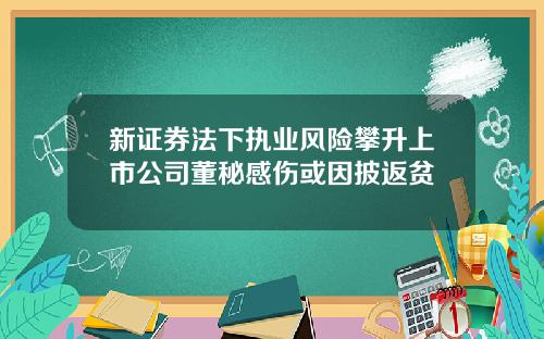 新证券法下执业风险攀升上市公司董秘感伤或因披返贫