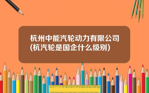 杭州中能汽轮动力有限公司(杭汽轮是国企什么级别)