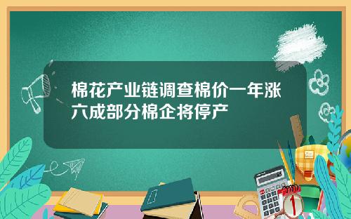 棉花产业链调查棉价一年涨六成部分棉企将停产
