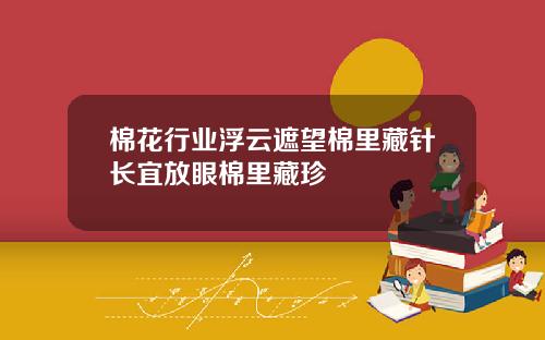 棉花行业浮云遮望棉里藏针长宜放眼棉里藏珍