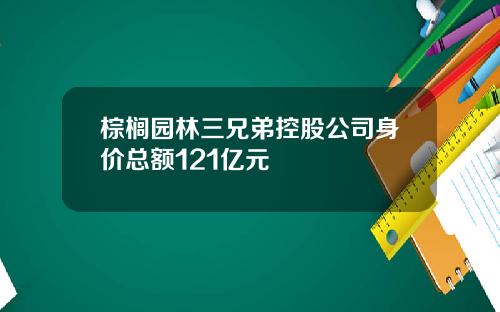 棕榈园林三兄弟控股公司身价总额121亿元