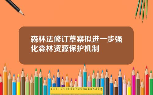 森林法修订草案拟进一步强化森林资源保护机制