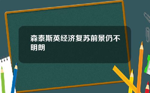 森泰斯英经济复苏前景仍不明朗