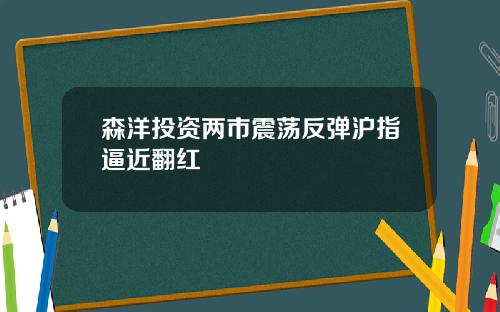森洋投资两市震荡反弹沪指逼近翻红