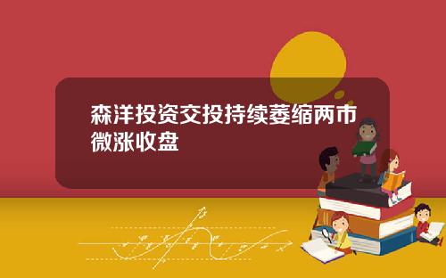 森洋投资交投持续萎缩两市微涨收盘