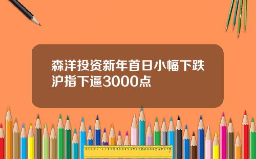 森洋投资新年首日小幅下跌沪指下逼3000点