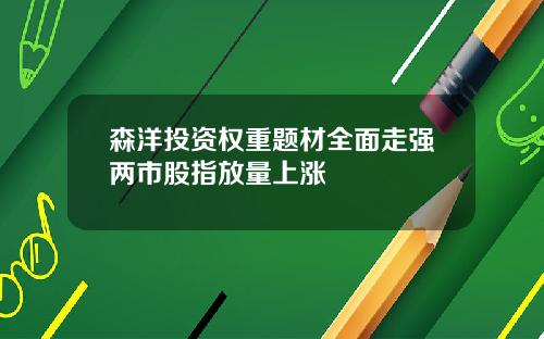 森洋投资权重题材全面走强两市股指放量上涨