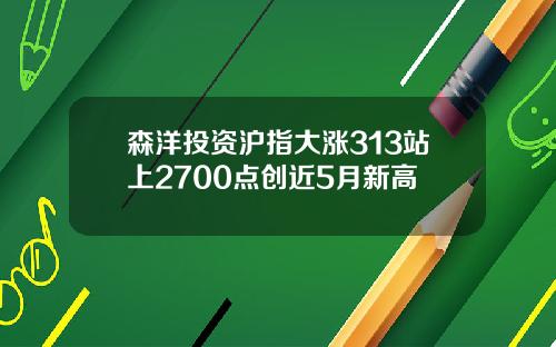 森洋投资沪指大涨313站上2700点创近5月新高