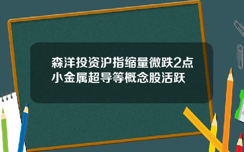 森洋投资沪指缩量微跌2点小金属超导等概念股活跃