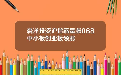 森洋投资沪指缩量涨068中小板创业板领涨