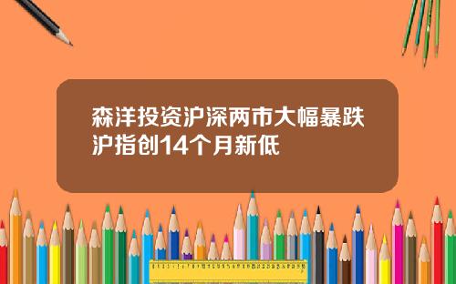 森洋投资沪深两市大幅暴跌沪指创14个月新低