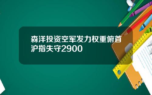 森洋投资空军发力权重俯首沪指失守2900