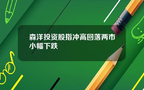 森洋投资股指冲高回落两市小幅下跌