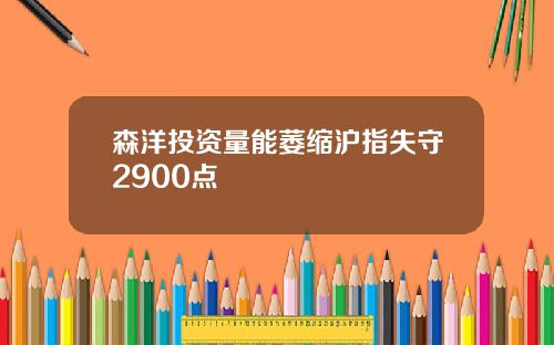 森洋投资量能萎缩沪指失守2900点