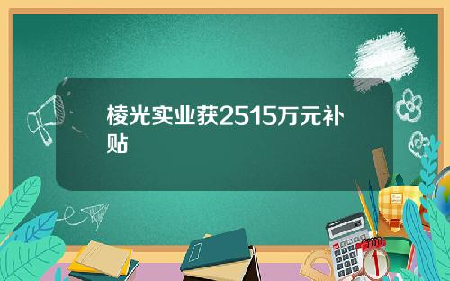 棱光实业获2515万元补贴