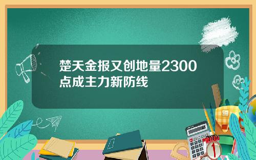 楚天金报又创地量2300点成主力新防线