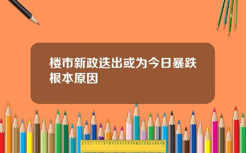 楼市新政迭出或为今日暴跌根本原因