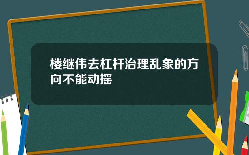 楼继伟去杠杆治理乱象的方向不能动摇