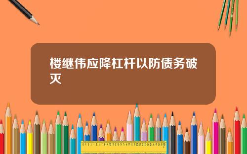 楼继伟应降杠杆以防债务破灭