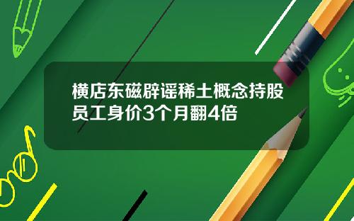 横店东磁辟谣稀土概念持股员工身价3个月翻4倍
