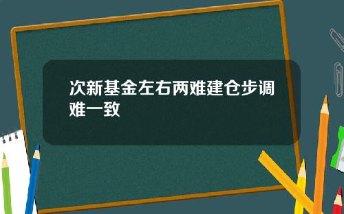 次新基金左右两难建仓步调难一致