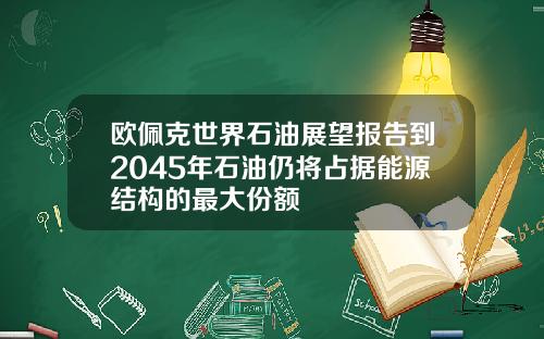 欧佩克世界石油展望报告到2045年石油仍将占据能源结构的最大份额