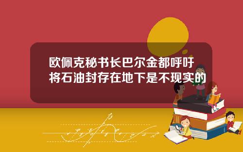 欧佩克秘书长巴尔金都呼吁将石油封存在地下是不现实的