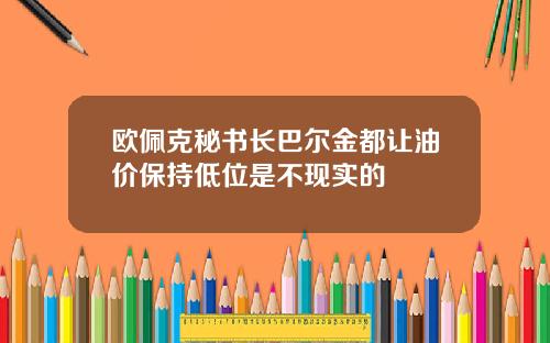 欧佩克秘书长巴尔金都让油价保持低位是不现实的
