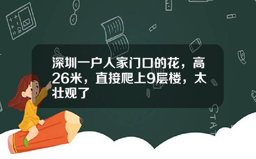 深圳一户人家门口的花，高26米，直接爬上9层楼，太壮观了