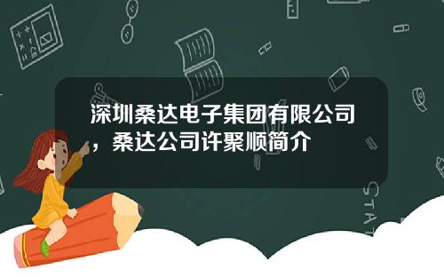 深圳桑达电子集团有限公司，桑达公司许聚顺简介