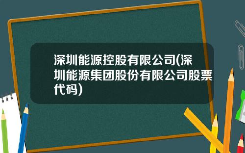深圳能源控股有限公司(深圳能源集团股份有限公司股票代码)
