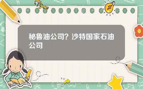 秘鲁油公司？沙特国家石油公司